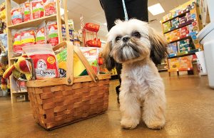 Pet Store POS System